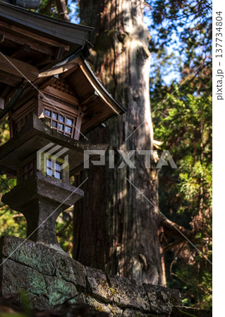 260314日枝神社g010 260314日枝神社g010 137734804