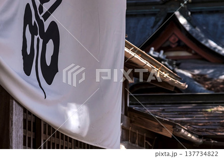 260314日枝神社g035 260314日枝神社g035 137734822