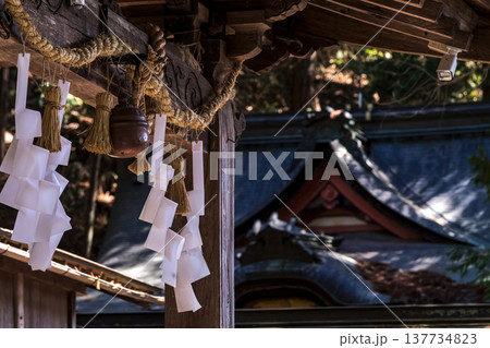 260314日枝神社g036 137734823