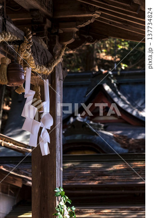 260314日枝神社g037 137734824