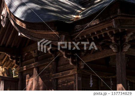 260314日枝神社g045 137734829