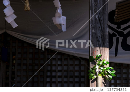 260314日枝神社g047 137734831