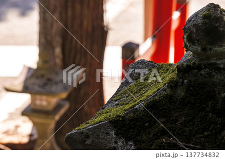 260314日枝神社g052 137734832