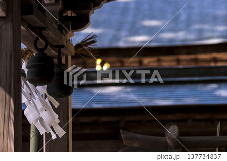 260314日枝神社g057 260314日枝神社g057 137734837