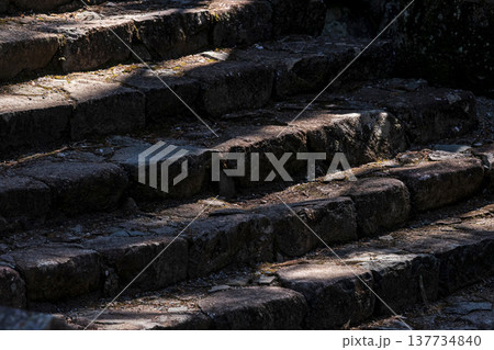 260314日枝神社g061 137734840