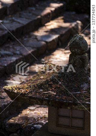 260314日枝神社g065 260314日枝神社g065 137734843