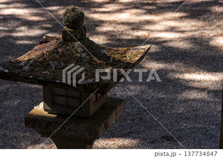 260314日枝神社g069 137734847