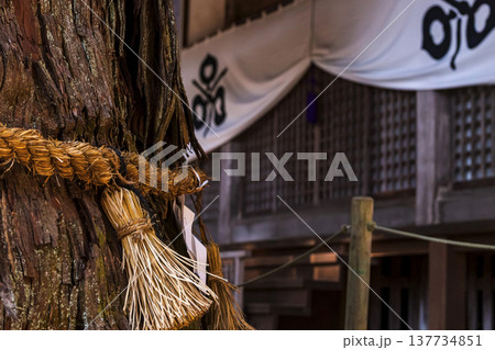 260314日枝神社g074 260314日枝神社g074 137734851
