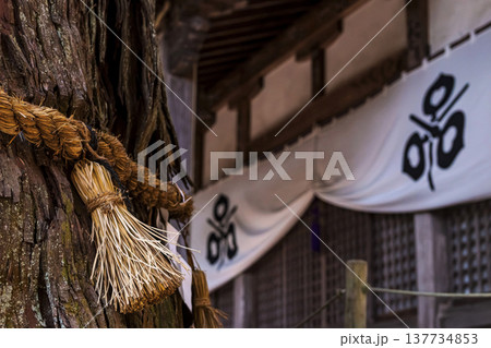 260314日枝神社g076 137734853