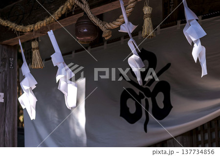 260314日枝神社g079 137734856