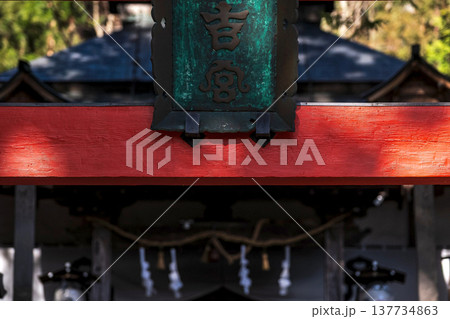 260314日枝神社g114 137734863