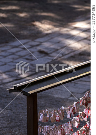 260314日枝神社g126 137734865