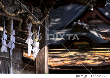 260314日枝神社g090 137734870