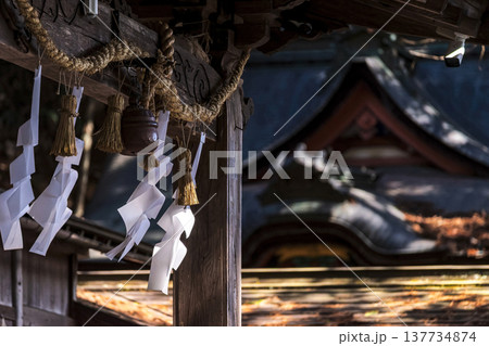 260314日枝神社g097 260314日枝神社g097 137734874