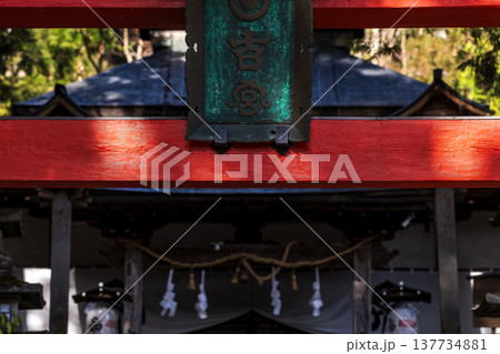 260314日枝神社g119 137734881