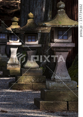 260314日枝神社g120 260314日枝神社g120 137734882