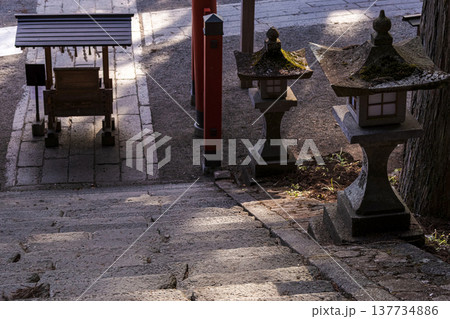 260314日枝神社g135 260314日枝神社g135 137734886
