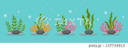 Underwater sea plants and corals collection on turquoise background vector illustration. 137734913