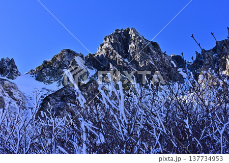 千畳敷カールの風景 千畳敷カールの風景 137734953