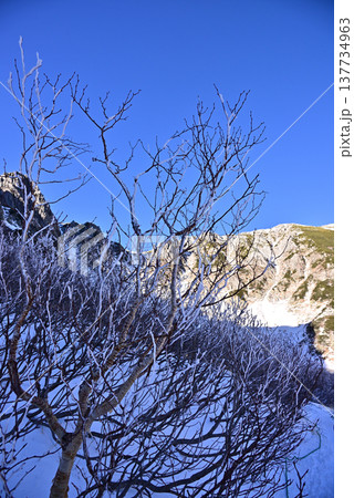 千畳敷カールの風景 千畳敷カールの風景 137734963