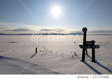 二月、極寒、冬の北海道、道東、晴天んおサロマ湖、湖畔、網走国定公園、ワッカ原生花園を訪れる女子旅 二月、極寒、冬の北海道、道東、晴天んおサロマ湖、湖畔、網走国定公園、ワッカ原生花園を訪れる女子旅 137735080