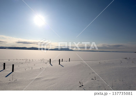 二月、極寒、冬の北海道、道東、晴天んおサロマ湖、湖畔、網走国定公園、ワッカ原生花園を訪れる女子旅 二月、極寒、冬の北海道、道東、晴天んおサロマ湖、湖畔、網走国定公園、ワッカ原生花園を訪れる女子旅 137735081