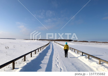 二月、極寒、冬の北海道、道東、晴天んおサロマ湖、湖畔、網走国定公園、ワッカ原生花園を訪れる女子旅 二月、極寒、冬の北海道、道東、晴天んおサロマ湖、湖畔、網走国定公園、ワッカ原生花園を訪れる女子旅 137735082