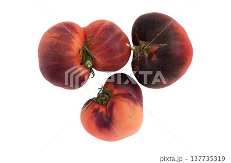 dark red homegrown tomatoes isolated 137735319
