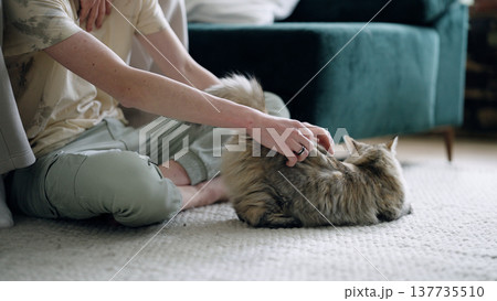 Gay couple stroking cat on living room floor Gay couple stroking cat on living room floor 137735510
