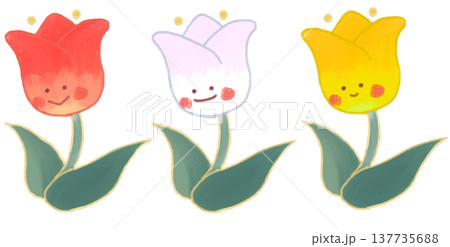 チューリップ赤白黄色イラスト 137735688