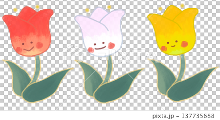 チューリップ赤白黄色イラスト 137735688