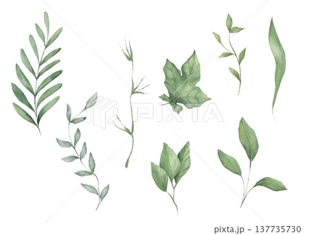 Collection of eight individual green leaf branches and botanical elements in a hand drawn illustration. Elegant floral set suitable for wedding invitations, logos, patterns and botanical branding. 137735730
