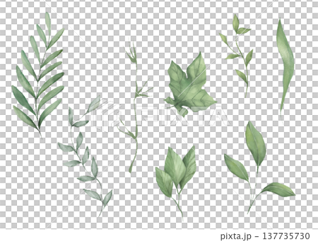 Collection of eight individual green leaf branches and botanical elements in a hand drawn illustration. Elegant floral set suitable for wedding invitations, logos, patterns and botanical branding. 137735730