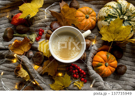 A cup of hot coffee on a knitted plaid among pumpkins, chestnuts 137735949