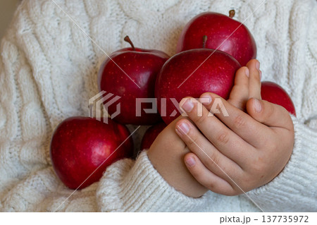 Red ripe apples in the hands of a child in a white knitted sweater Red ripe apples in the hands of a child in a white knitted sweater 137735972