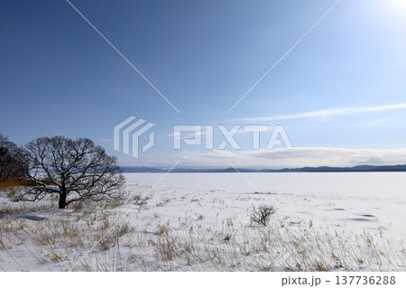 二月、極寒の冬の北海道、サロマ湖、道東、オホーツク海の流氷を望むサロマ湖の龍宮台展望台から望む流氷 二月、極寒の冬の北海道、サロマ湖、道東、オホーツク海の流氷を望むサロマ湖の龍宮台展望台から望む流氷 137736288