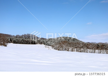 二月、極寒の冬の北海道、サロマ湖、道東、オホーツク海の流氷を望むサロマ湖の龍宮台展望台から望む流氷 二月、極寒の冬の北海道、サロマ湖、道東、オホーツク海の流氷を望むサロマ湖の龍宮台展望台から望む流氷 137736315