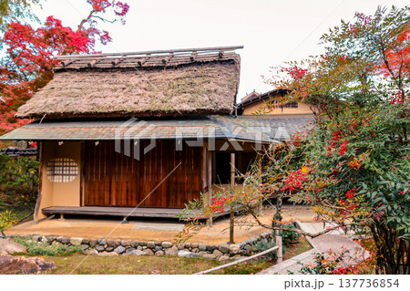 Vibrant Maple At Hogonin Temple In Scenic Kyoto Japan Nov 28 2025 137736854