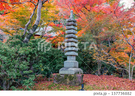 Stone Pagoda at Hogon-in Temple in Kyoto Nov 28 2025 Stone Pagoda at Hogon-in Temple in Kyoto Nov 28 2025 137736882