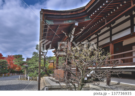 Myoho in Temple Traditional Wooden Hall in Kyoto Nov 28 2025 137736935