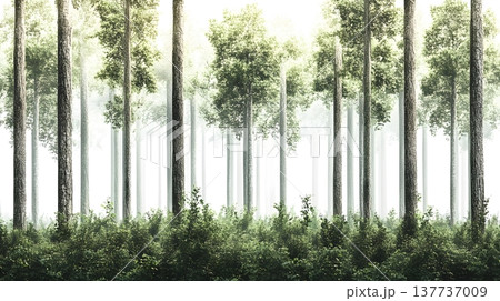 A dense deep forest scene isolated on white background. 137737009