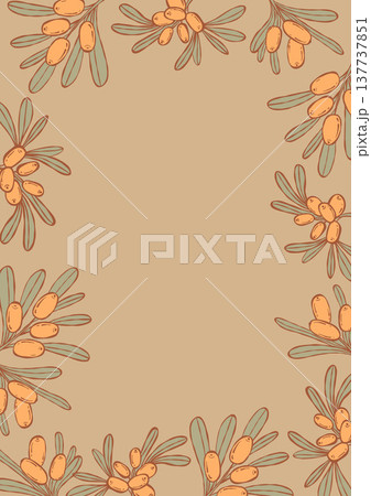 Sea Buckthorn Frame Template. Botanical Border with Orange Berries and Leaves on Beige. Organic Product Vertical Banner Background with Empty Copy Space. Vector illustration hand-drawn 137737851