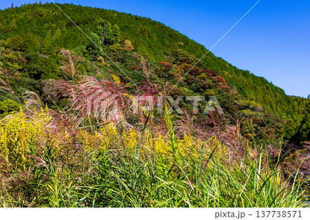 静岡県周智郡森町鍛治島 山里の風景 静岡県周智郡森町鍛治島 山里の風景 137738571