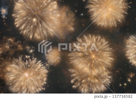 漆黒の夜空を彩る 黄金に輝く幻想的な花火 漆黒の夜空を彩る 黄金に輝く幻想的な花火 137738582