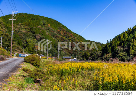 静岡県周智郡森町鍛治島　山里の風景 137738584