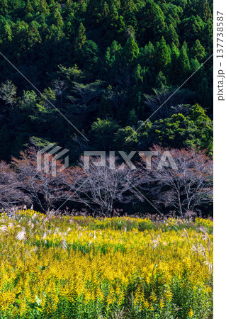 静岡県周智郡森町鍛治島 山里の風景 静岡県周智郡森町鍛治島 山里の風景 137738587