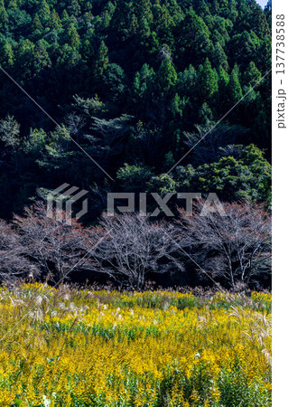 静岡県周智郡森町鍛治島 山里の風景 静岡県周智郡森町鍛治島 山里の風景 137738588