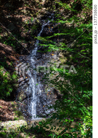 静岡県周智郡森町鍛治島 山里の風景 静岡県周智郡森町鍛治島 山里の風景 137738600