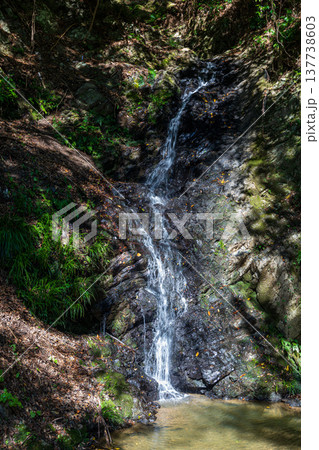 静岡県周智郡森町鍛治島　山里の風景 137738603