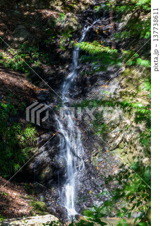 静岡県周智郡森町鍛治島 山里の風景 静岡県周智郡森町鍛治島 山里の風景 137738611